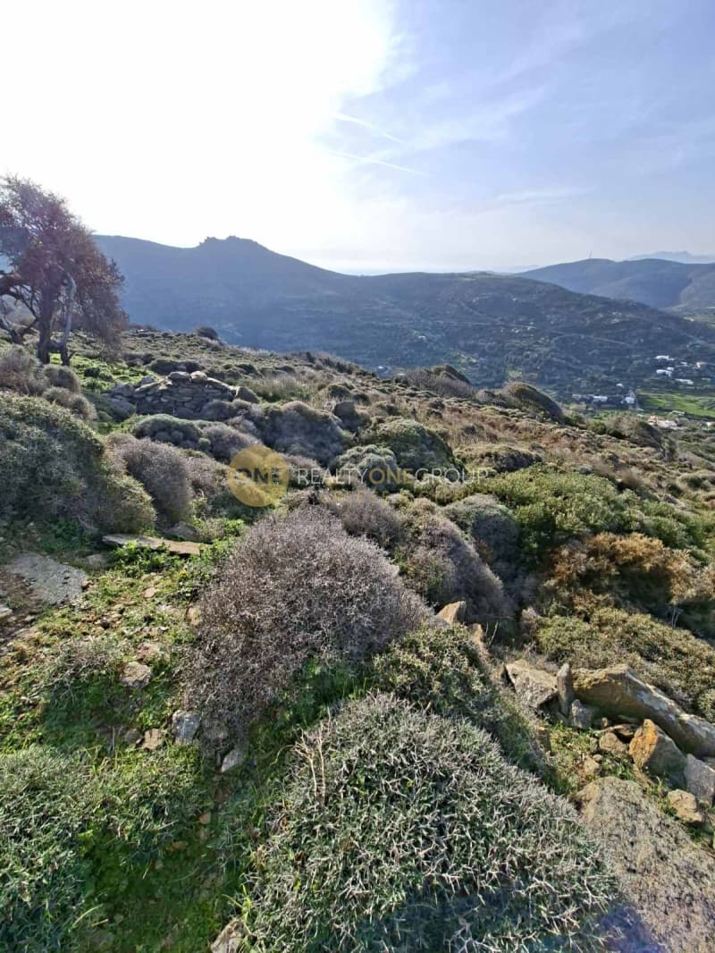 Αγροτεμάχιο στην Άνω Απρόβατο, Άνδρος — Φωτογραφία 9 από 18