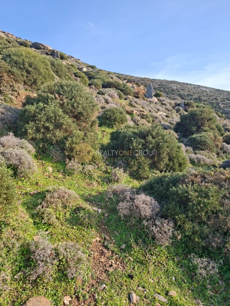 Αγροτεμάχιο στην Άνω Απρόβατο, Άνδρος — Φωτογραφία 1 από 15