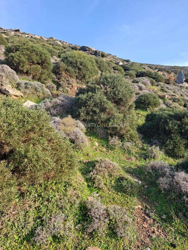 Αγροτεμάχιο στην Άνω Απρόβατο, Άνδρος — Φωτογραφία 12 από 15