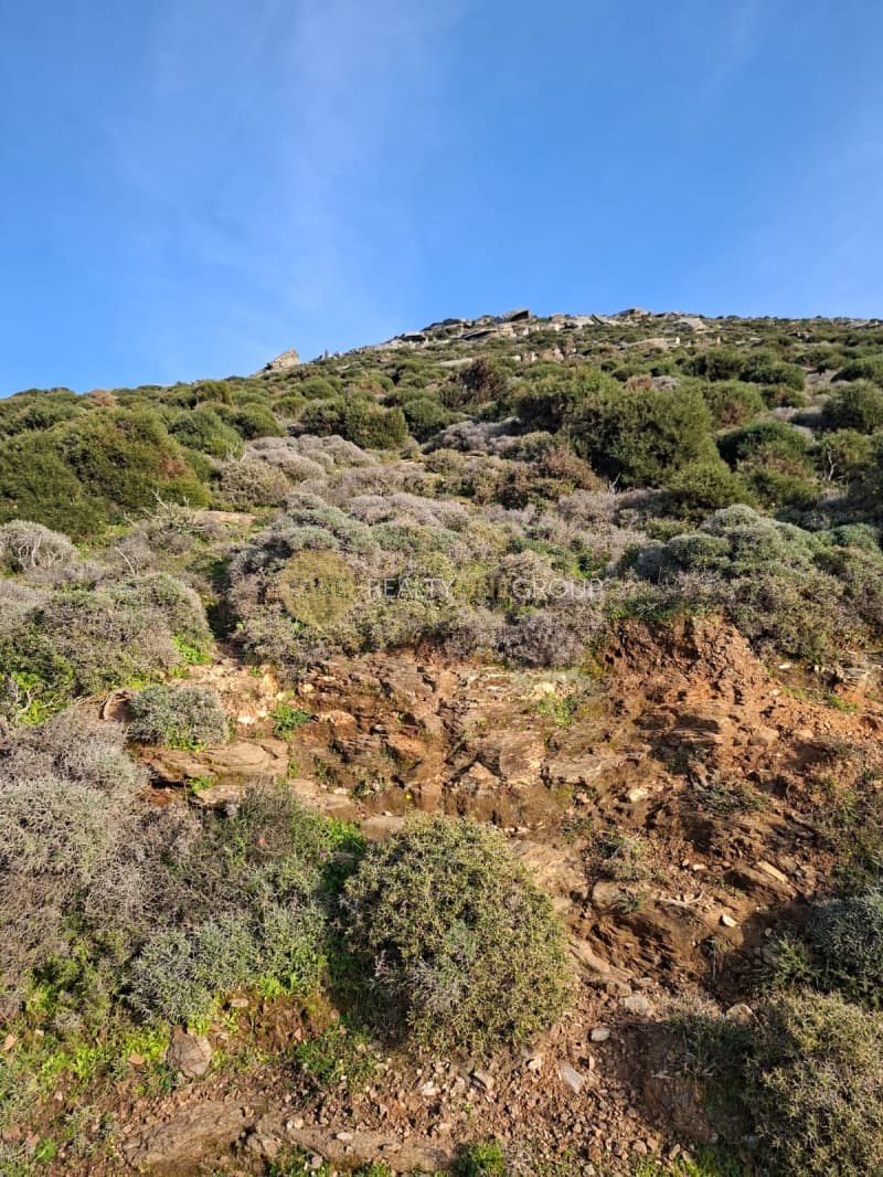 Αγροτεμάχιο στην Άνω Απρόβατο, Άνδρος — Φωτογραφία 14 από 15