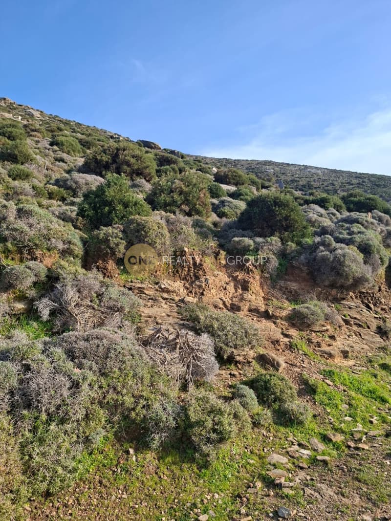 Αγροτεμάχιο στην Άνω Απρόβατο, Άνδρος — Φωτογραφία 11 από 15