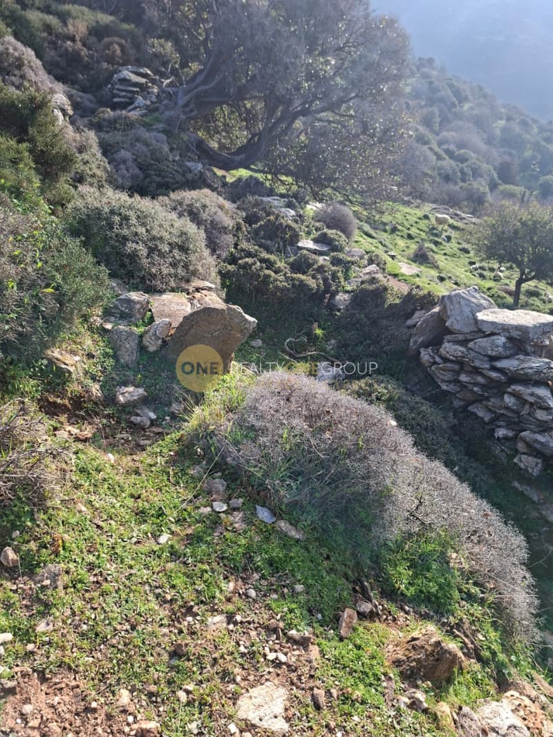 Αγροτεμάχιο στην Άνω Απρόβατο, Άνδρος — Φωτογραφία 15 από 15