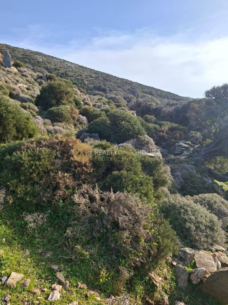 Αγροτεμάχιο στην Άνω Απρόβατο, Άνδρος — Φωτογραφία 6 από 15