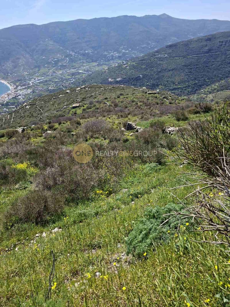 Αγροτεμάχιο στην Κόρθι, Άνδρος — Φωτογραφία 19 από 30