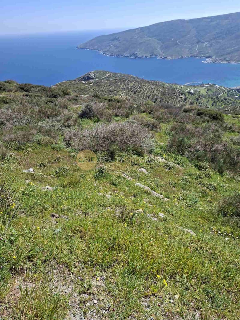 Αγροτεμάχιο στην Κόρθι, Άνδρος — Φωτογραφία 30 από 30