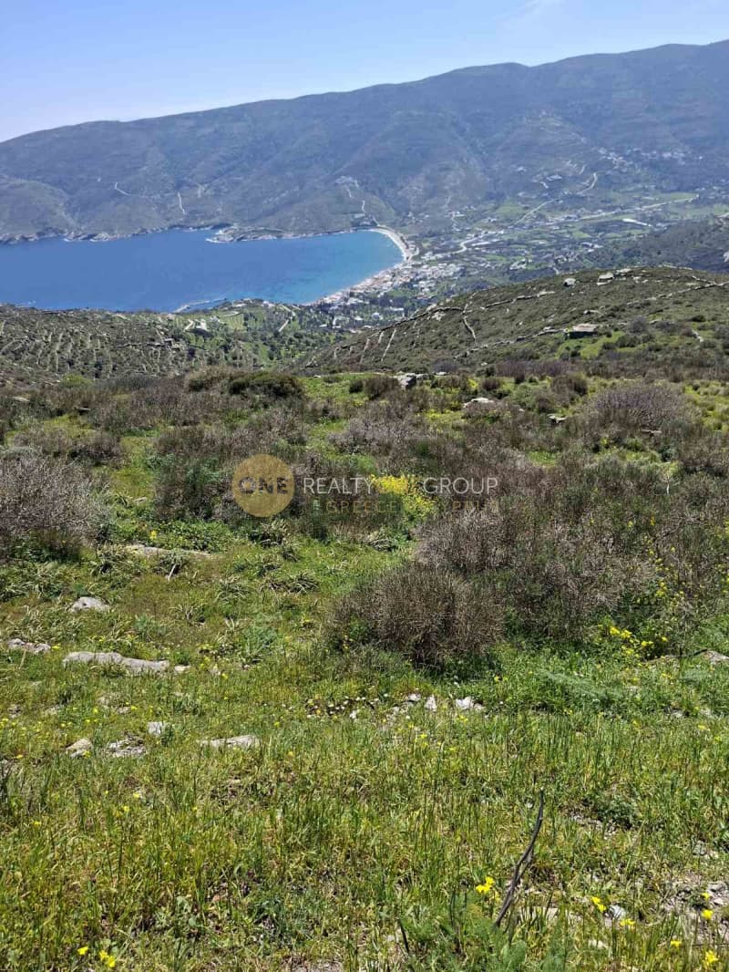 Αγροτεμάχιο στην Κόρθι, Άνδρος — Φωτογραφία 26 από 30