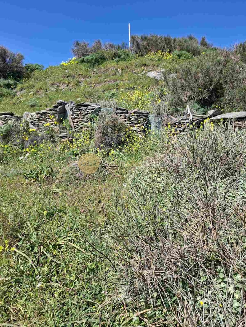 Αγροτεμάχιο στην Κόρθι, Άνδρος — Φωτογραφία 6 από 30