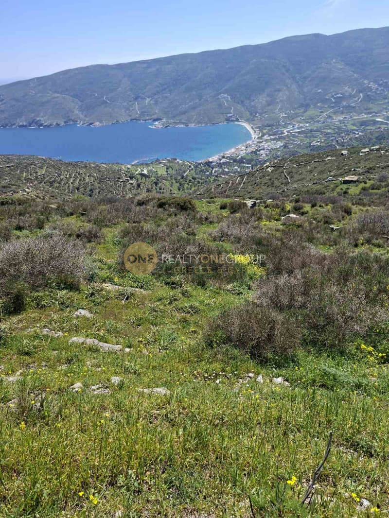 Αγροτεμάχιο στην Κόρθι, Άνδρος — Φωτογραφία 25 από 30