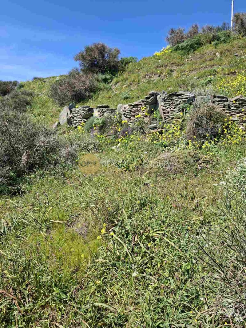 Αγροτεμάχιο στην Κόρθι, Άνδρος — Φωτογραφία 5 από 30