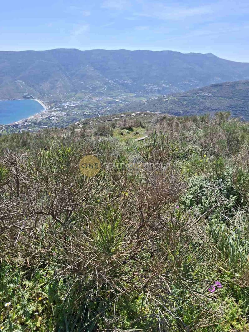 Αγροτεμάχιο στην Κόρθι, Άνδρος — Φωτογραφία 4 από 30