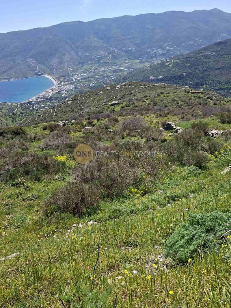 Αγροτεμάχιο στην Κόρθι, Άνδρος — Φωτογραφία 23 από 30