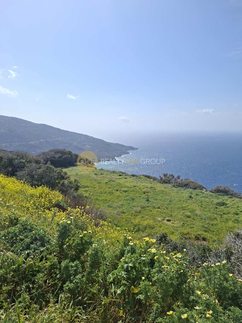 Αγροτεμάχιο στην Άνω Απρόβατο, Άνδρος — Φωτογραφία 31 από 31