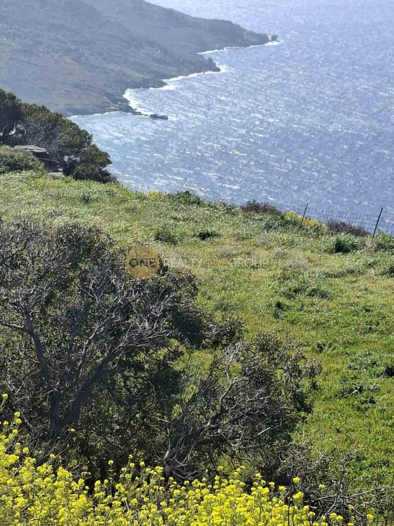Αγροτεμάχιο στην Άνω Απρόβατο, Άνδρος — Φωτογραφία 21 από 31