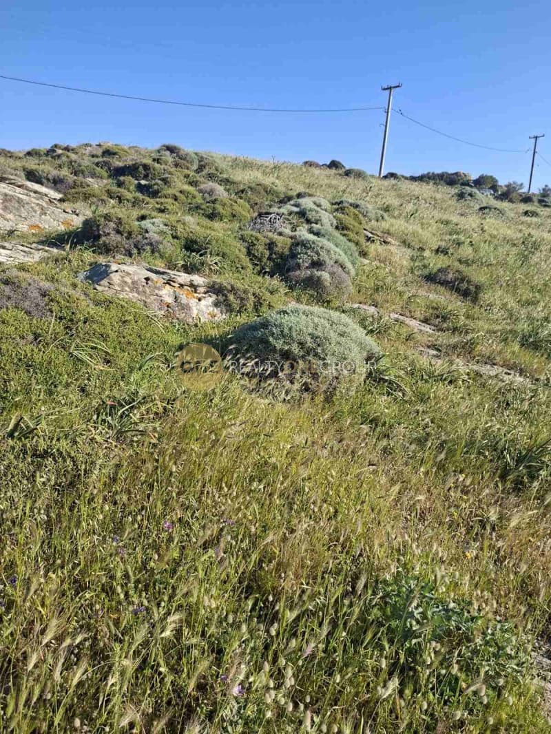 Αγροτεμάχιο στην Άνω Απρόβατο, Άνδρος — Φωτογραφία 25 από 25