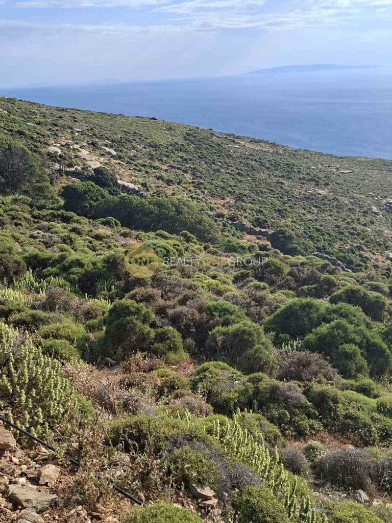 Αγροτεμάχιο στην Μπατσί, Άνδρος — Φωτογραφία 6 από 30