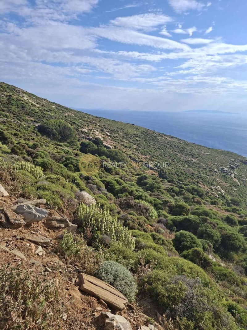 Αγροτεμάχιο στην Μπατσί, Άνδρος — Φωτογραφία 20 από 30