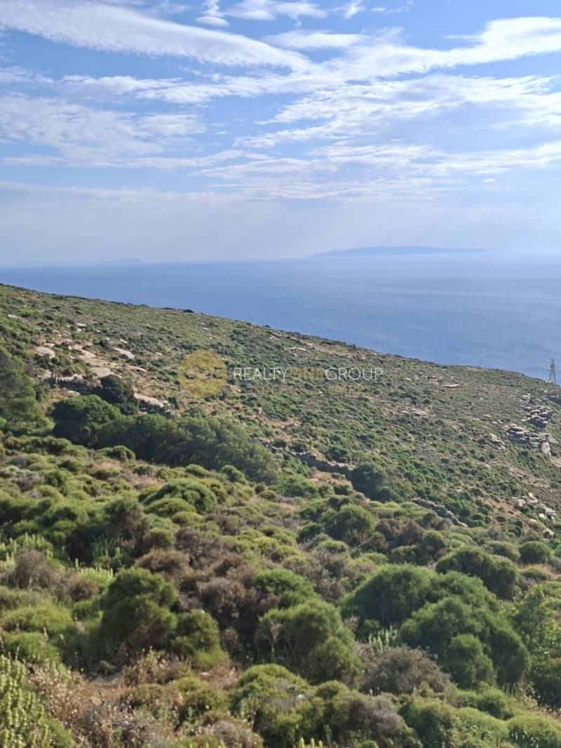 Αγροτεμάχιο στην Μπατσί, Άνδρος — Φωτογραφία 2 από 30