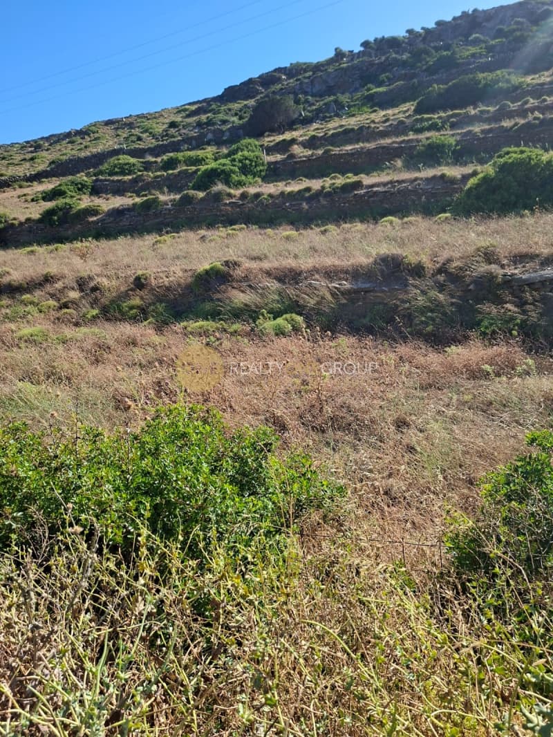 Parcel in Korthio, Andros — Photo 6 of 16