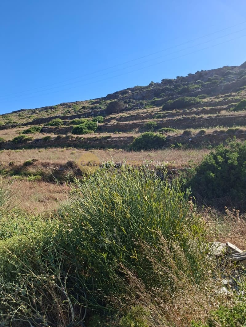 Parcel in Korthio, Andros — Photo 13 of 16