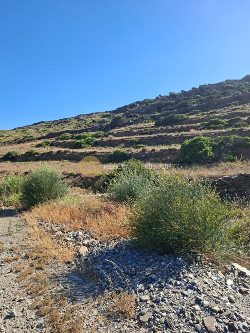 Parcel in Korthio, Andros — Photo 8 of 16