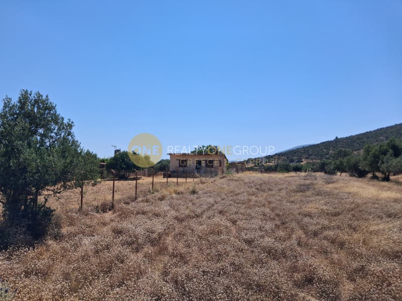 Αγροτεμάχιο στην Λεωφ. Βάρης Κορωπίου, Κορωπί — Φωτογραφία 7 από 8