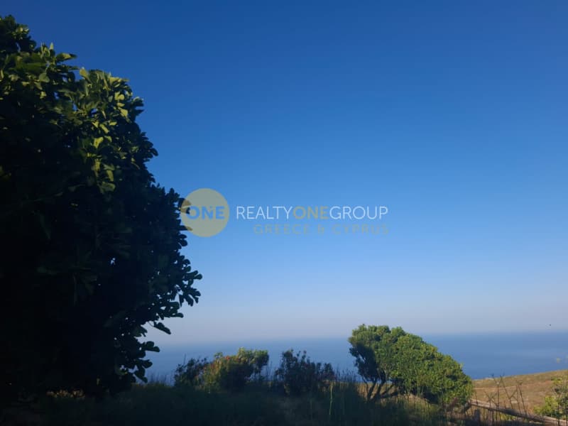 Μονοκατοικία στην Βιτάλι, Άνδρος — Φωτογραφία 25 από 30