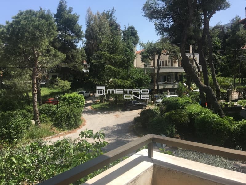 Μονοκατοικία στην Δροσιά, Δροσιά — Φωτογραφία 14 από 23