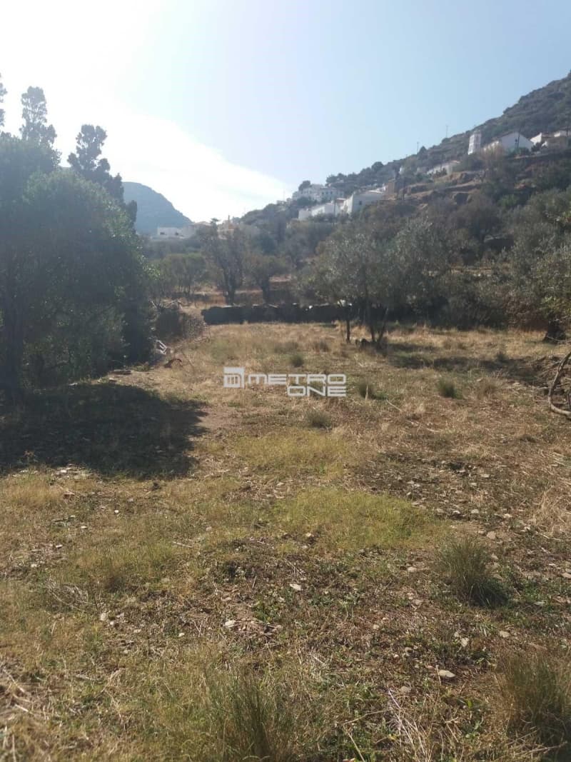 Αγροτεμάχιο στην Χώρα, Άνδρος — Φωτογραφία 13 από 19