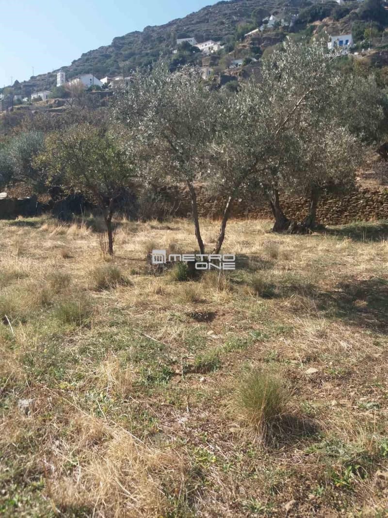 Αγροτεμάχιο στην Χώρα, Άνδρος — Φωτογραφία 18 από 19