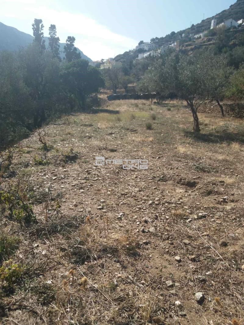 Αγροτεμάχιο στην Χώρα, Άνδρος — Φωτογραφία 19 από 19