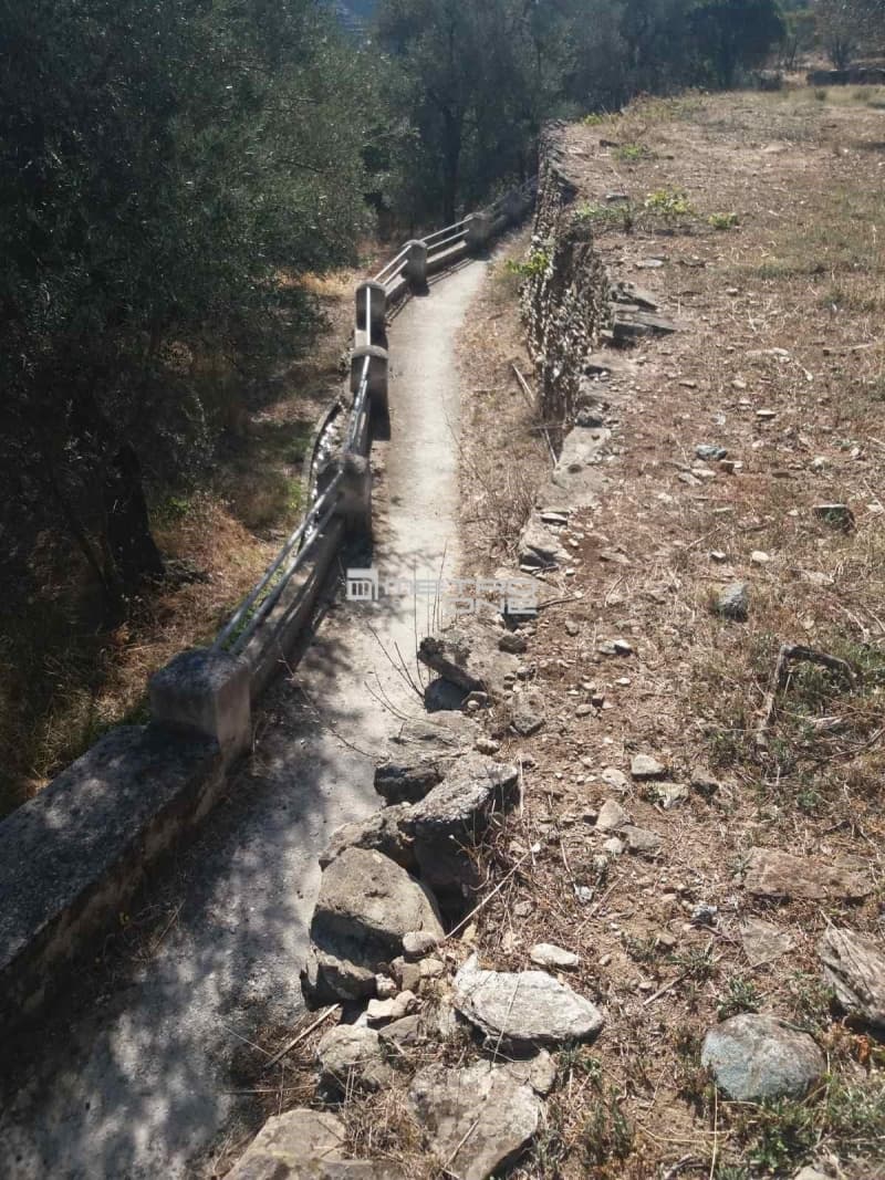 Αγροτεμάχιο στην Χώρα, Άνδρος — Φωτογραφία 11 από 19