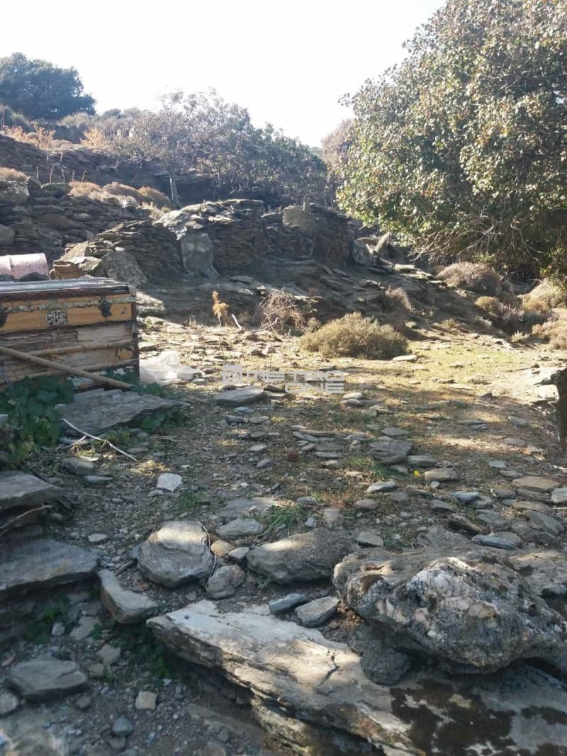 Αγροτεμάχιο στην Χώρα, Άνδρος — Φωτογραφία 7 από 9