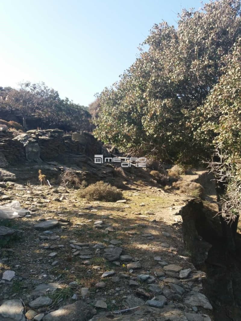 Αγροτεμάχιο στην Χώρα, Άνδρος — Φωτογραφία 8 από 9