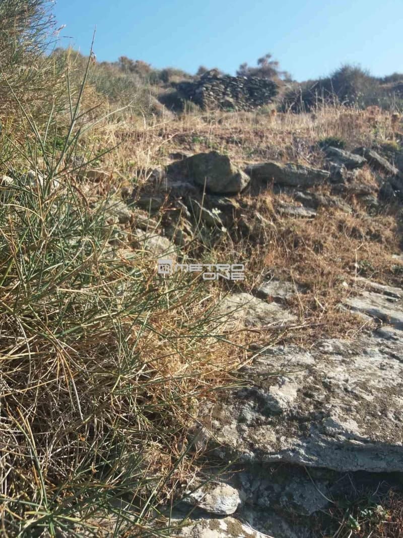 Αγροτεμάχιο στην Συνέτι, Άνδρος — Φωτογραφία 10 από 10