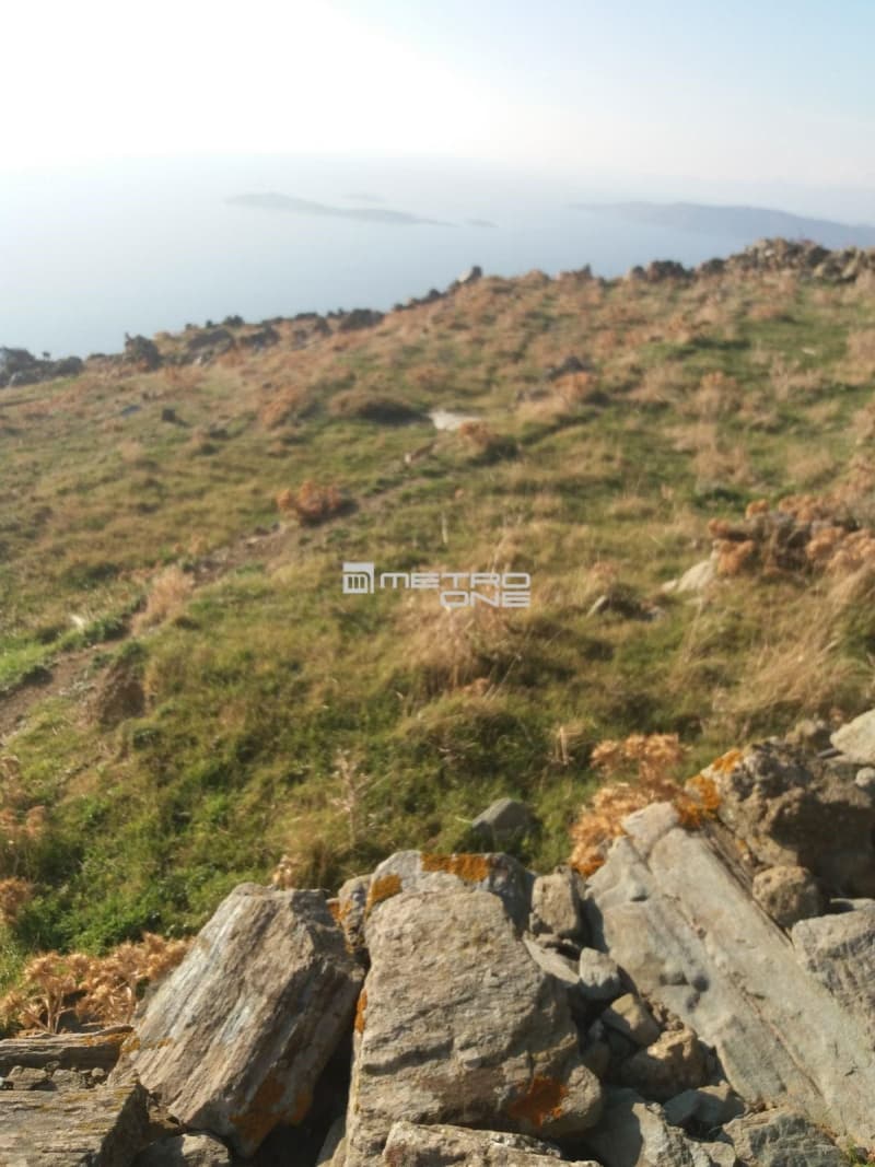 Αγροτεμάχιο στην Άνω Γαύριο, Άνδρος — Φωτογραφία 4 από 24