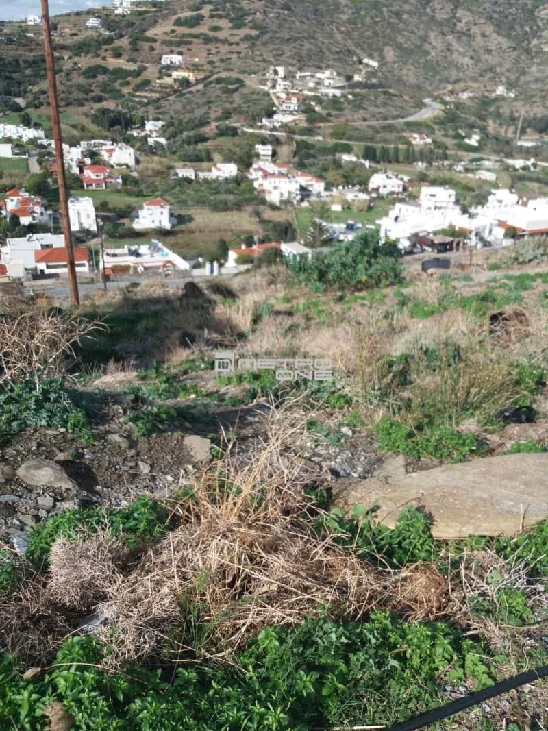 Οικόπεδο στην Μπατσί, Άνδρος — Φωτογραφία 5 από 11