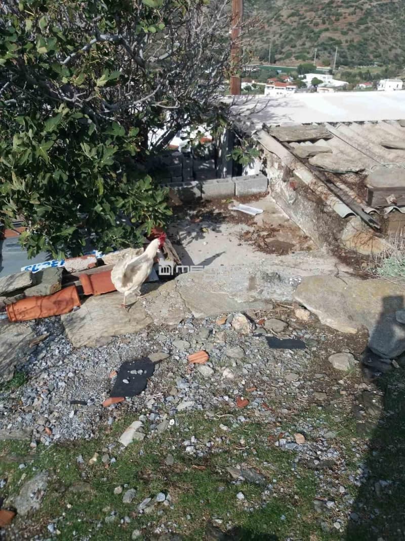 Οικόπεδο στην Μπατσί, Άνδρος — Φωτογραφία 8 από 11