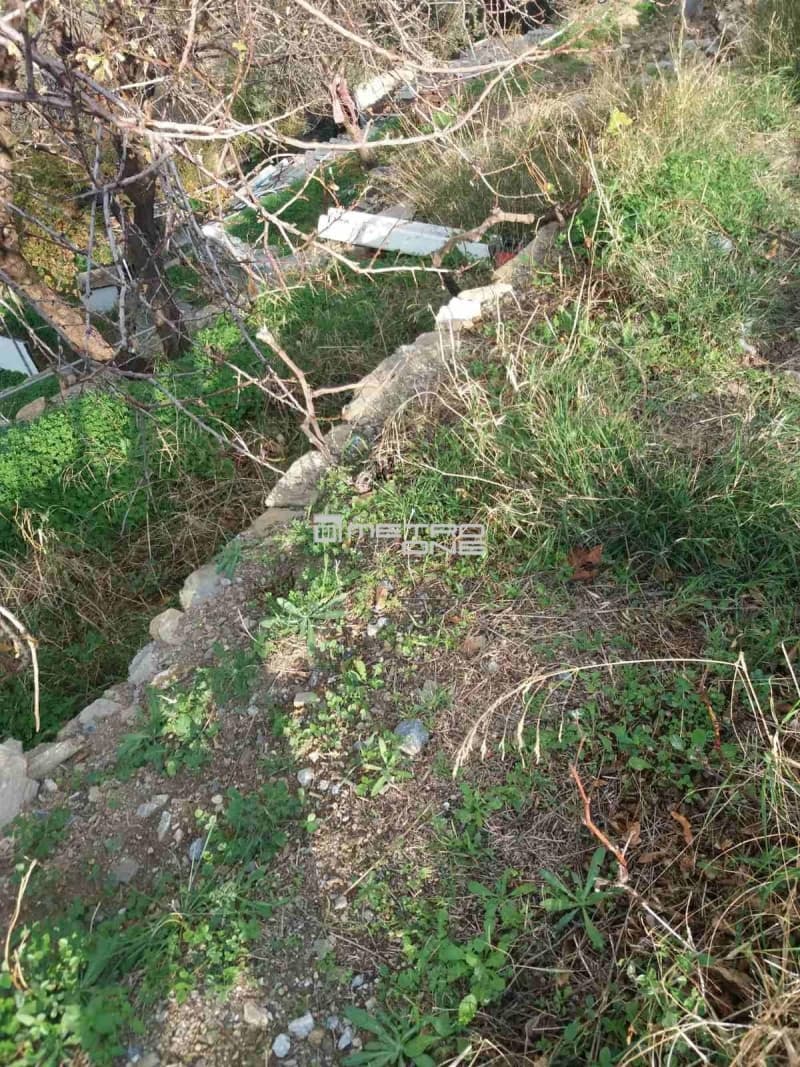 Οικόπεδο στην Μπατσί, Άνδρος — Φωτογραφία 3 από 15