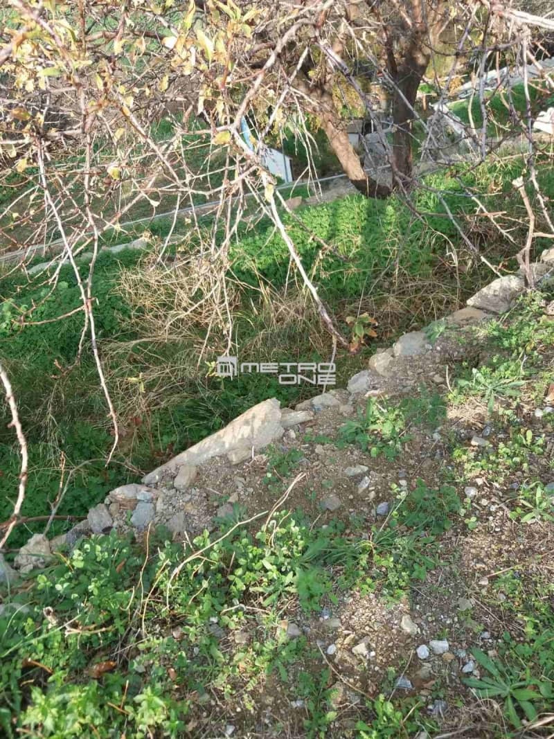 Οικόπεδο στην Μπατσί, Άνδρος — Φωτογραφία 5 από 15