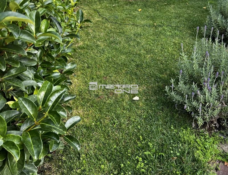 House in Politeia, Nea Erithraia — Photo 4 of 6