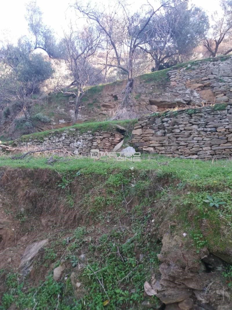 Building Plot in Chora, Andros — Photo 1 of 18