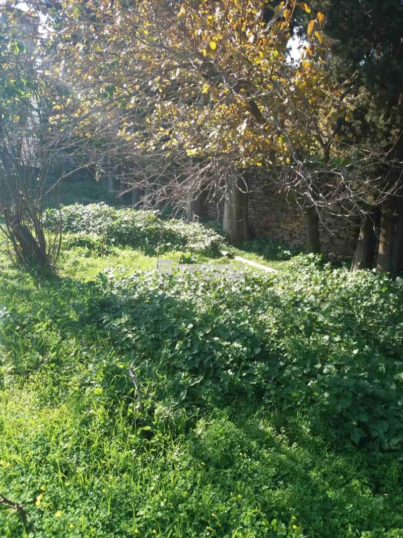 Building Plot in Lamira, Andros — Photo 1 of 20