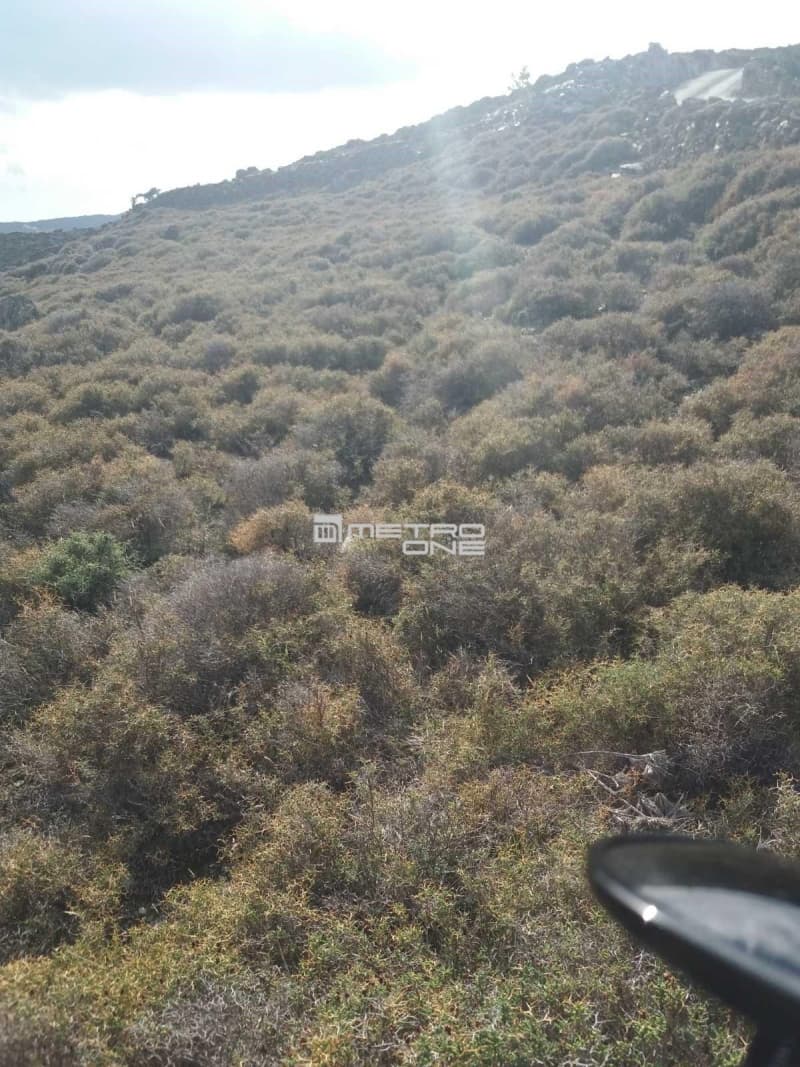 Parcel in Mpatsi, Andros — Photo 5 of 30