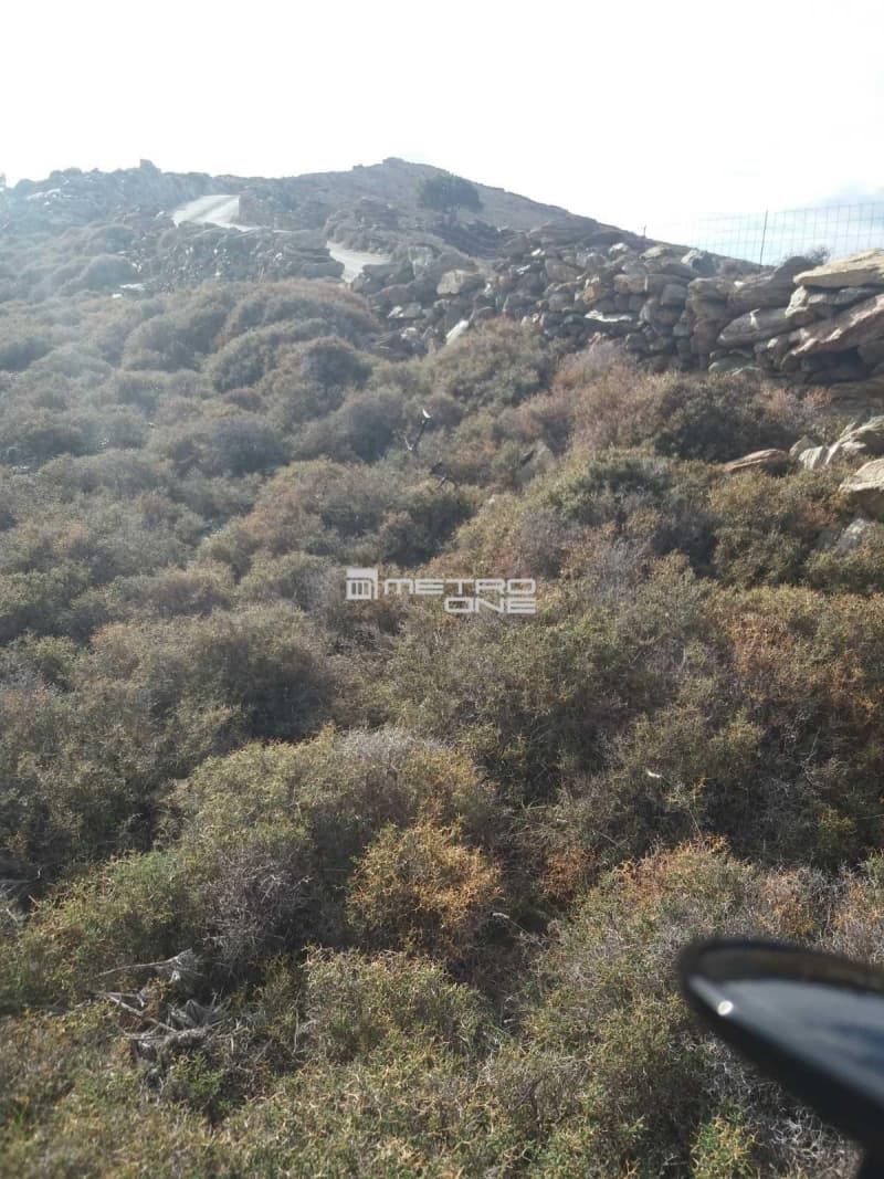 Parcel in Mpatsi, Andros — Photo 10 of 30