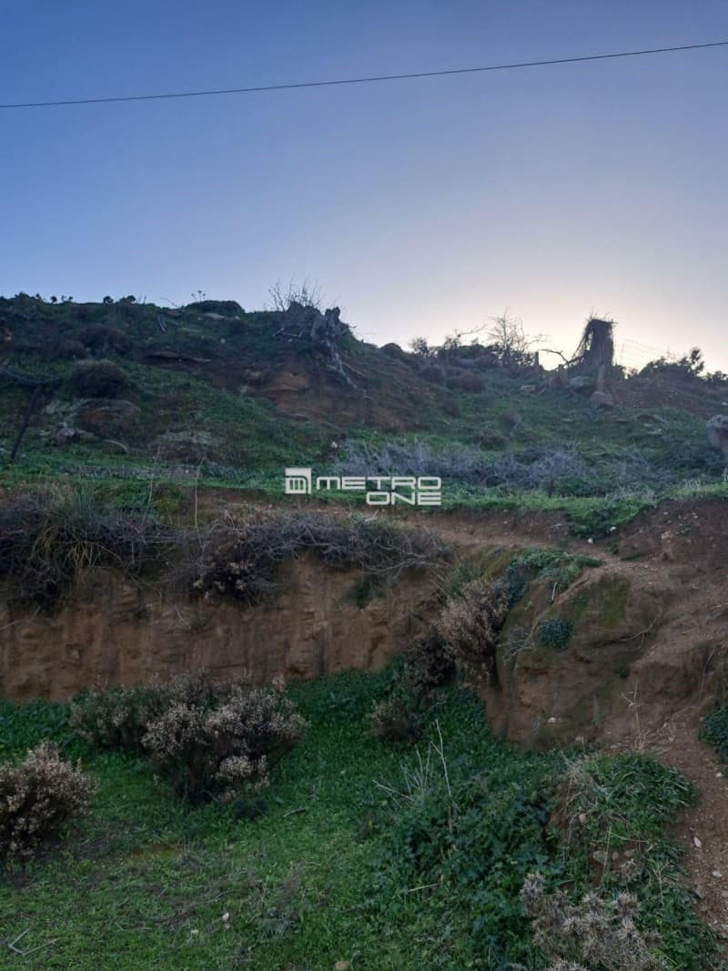 Parcel in Ano Aprovato, Andros — Photo 17 of 20