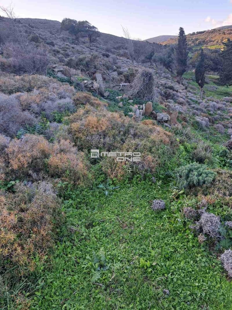 Parcel in Ano Aprovato, Andros — Photo 19 of 20
