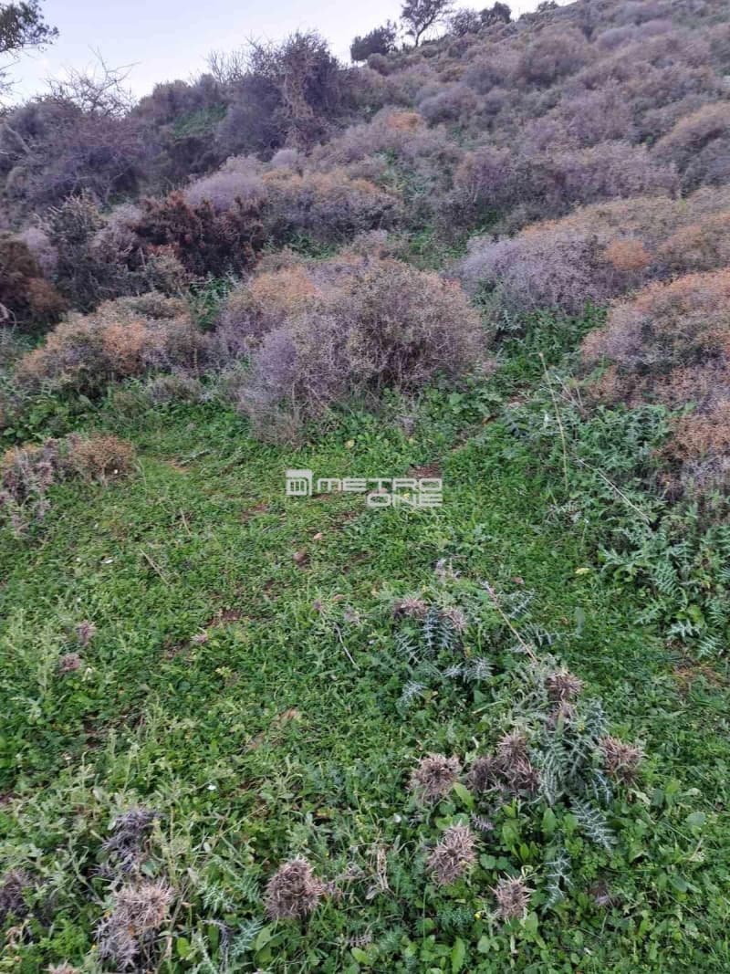 Parcel in Ano Aprovato, Andros — Photo 20 of 20