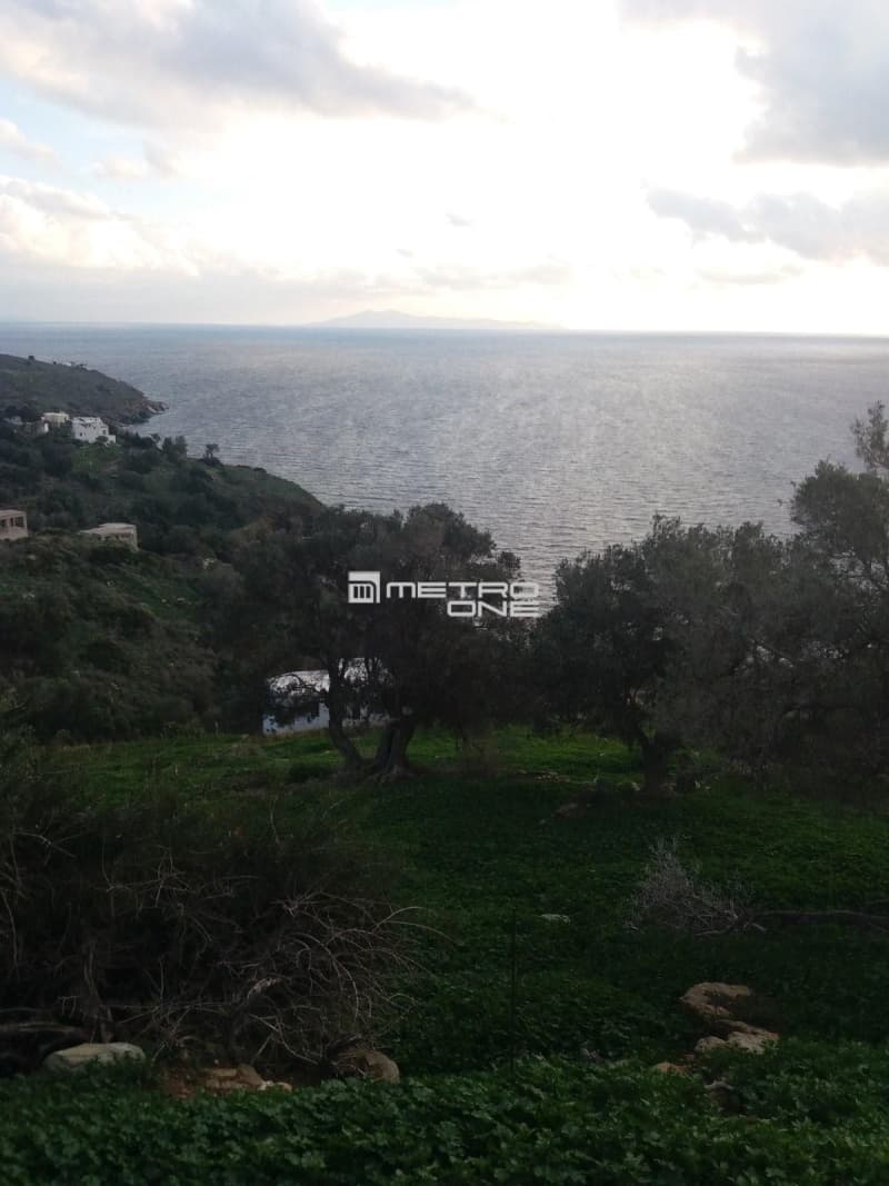 Parcel in Mpatsi, Andros — Photo 1 of 14