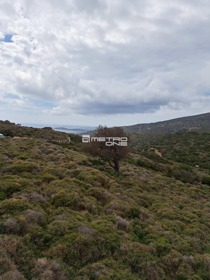 Parcel in Ano Aprovato, Andros — Photo 11 of 14