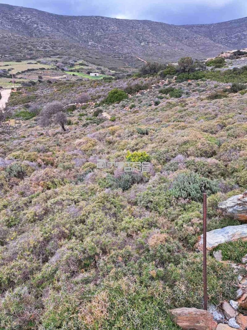 Parcel in Ano Aprovato, Andros — Photo 12 of 14